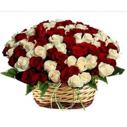 X-mas 36 roses basket  Delivery To Manila Philippines