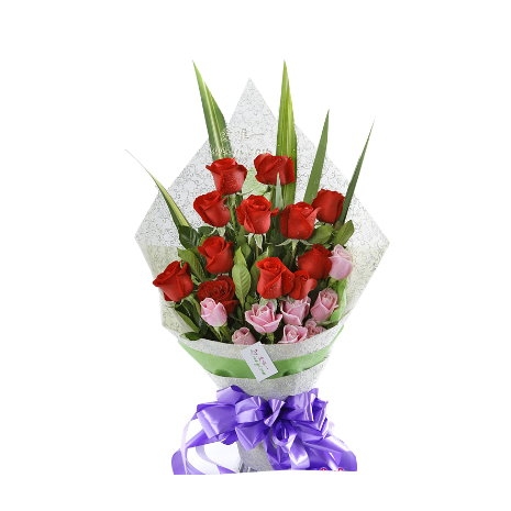 12 Red & 6 Pink Roses Delivery to Manila Philippines